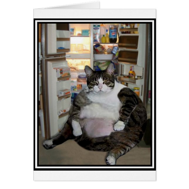 CAT EN EL REFRIGERADOR (Frente)