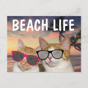 CAT EN LAS Postales DE LA PLAYA DE GATS BEACH