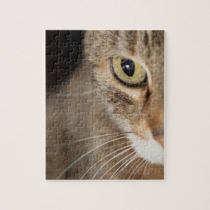 Cat Face Photo Puzzle