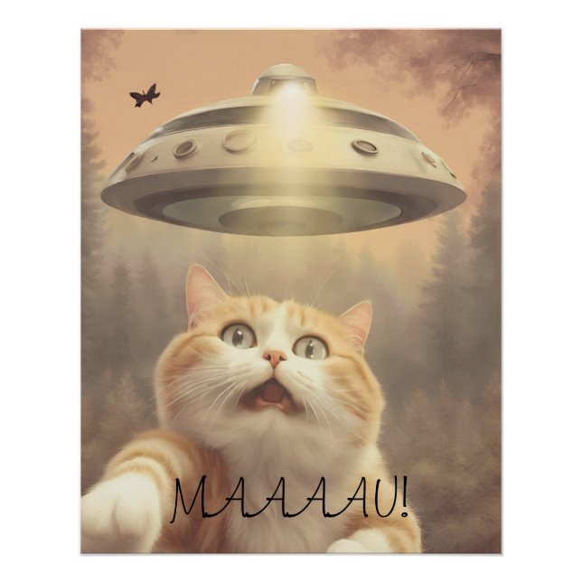 Cat I Believe UFO Wall Poster Art (Anverso)