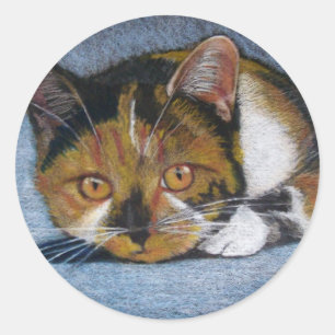 CAT IN COLOR PENCIL: PEGATINAS