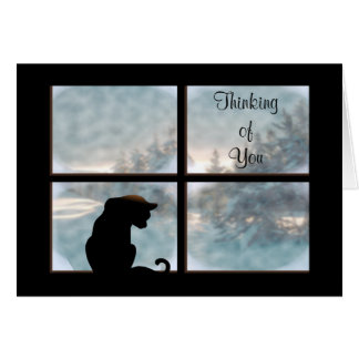 Cat in Window
