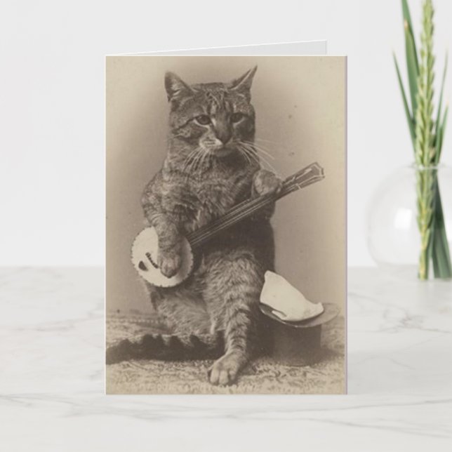 CAT JUGANDO LA TARJETA DE CUMPLEAÑOS DE LA VENTAJA (Anverso)