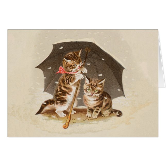 Cat Kitten kitty bonito vintage antiguo lindo (Anverso (Horizontal))