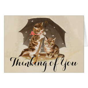 Cat Kitten kitty bonito vintage antiguo lindo