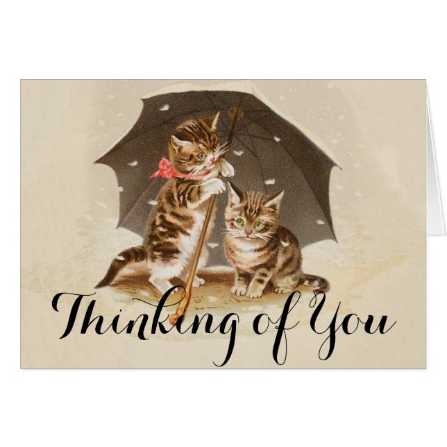 Cat Kitten kitty bonito vintage antiguo lindo (Anverso (Horizontal))