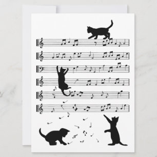 Cat Lover Gracioso Pianista Lover