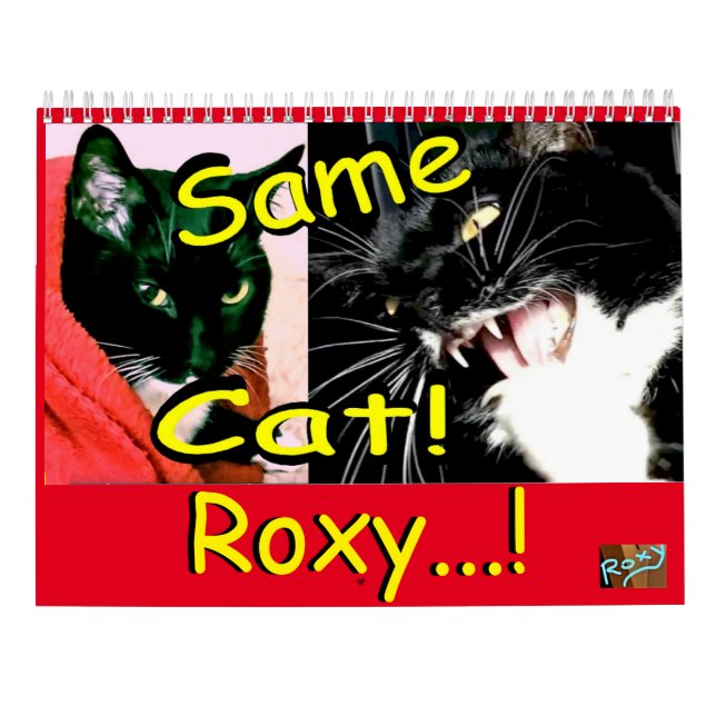 Cat Roxy de calendario (Reverso)