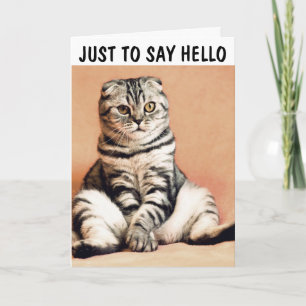 CAT SENTADO COMO UNA PERSONA HOLA TARJETAS DE REUN