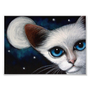 CAT SIAMÉS 7" x 5",  del papel de la foto de
