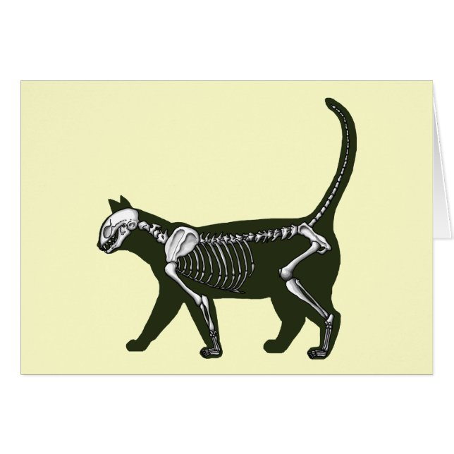 Cat Skeleton (Anverso (Horizontal))