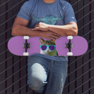 CAT UTILIZANDO SUNGLASSES SKATEBOARDS