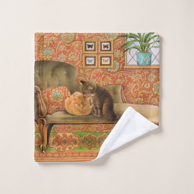 CAT WASH CLOTH (Toallita)