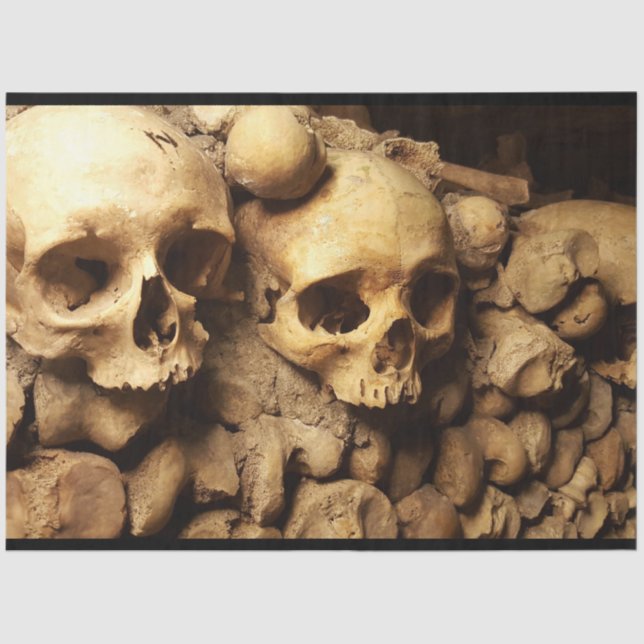 Catacomb Skulls 17 Papel del tejido de la desunión (Anverso)