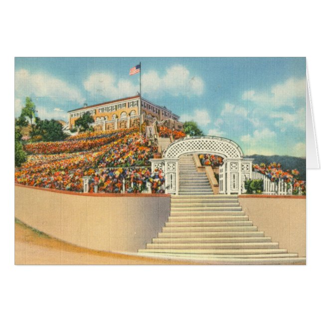 Catalina (Anverso (Horizontal))