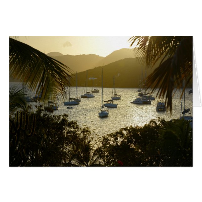 Catamaranes y veleros (Anverso (Horizontal))