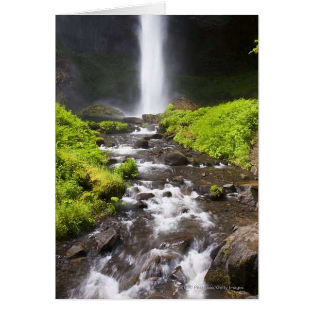 Catarata borrosa y río (Frente)