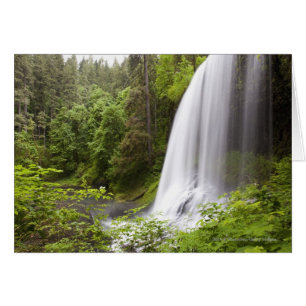 Catarata borrosa y vista forestal en Oregón