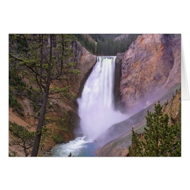 Catarata inferior del Yellowstone, Gran Cañón de (Anverso (Horizontal))
