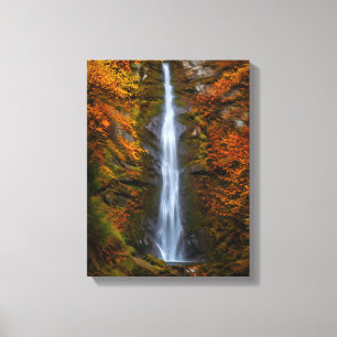 Catarata nº 1, impresión en lienzo de la serie Cat