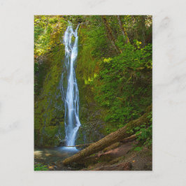 Catarata postal en el bosque