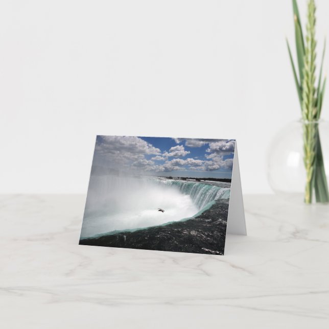 Cataratas del Niágara con gaviota (Anverso)