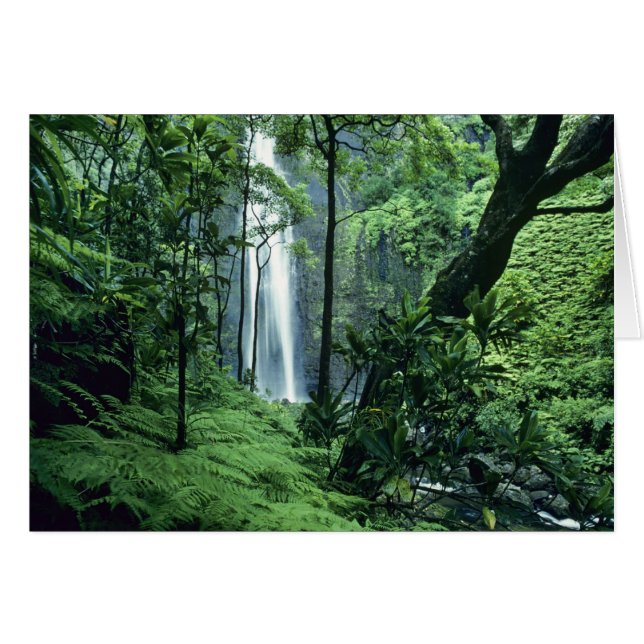 Cataratas Hanakapiai a lo largo de la costa de Na  (Anverso (Horizontal))