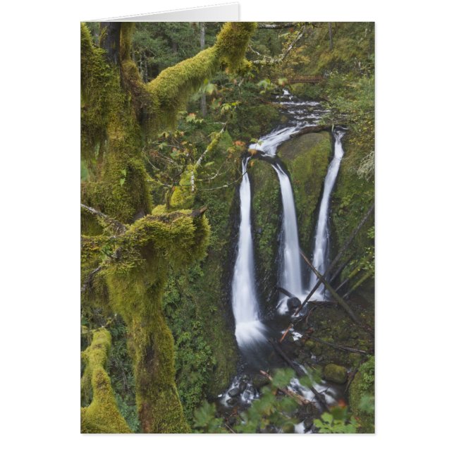 Cataratas triples, desfiladero del río Columbia (Frente)