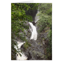 Cataratas Wairere, Whakatane