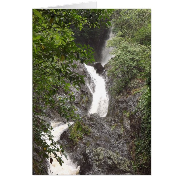 Cataratas Wairere, Whakatane (Frente)