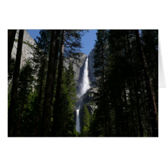 Cataratas Yosemite y paisajes de Woods fotográfico