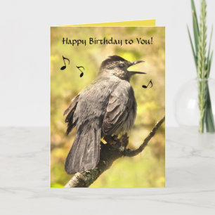 Catbird canta tarjeta de cumpleaños feliz