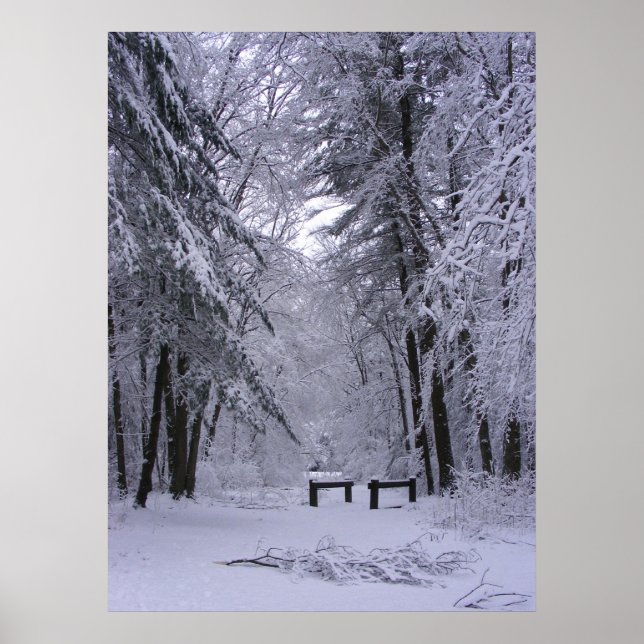 Catedral de hielo 2 ~ impresión (Frente)