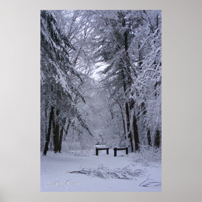 Catedral de hielo ~ impresión (Frente)