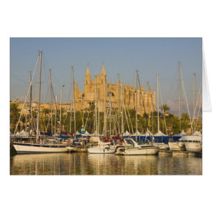 Catedral y marina, Palma, Mallorca, España 2