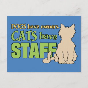 CATEGORÍAS TIENEN postal DEL PERSONAL