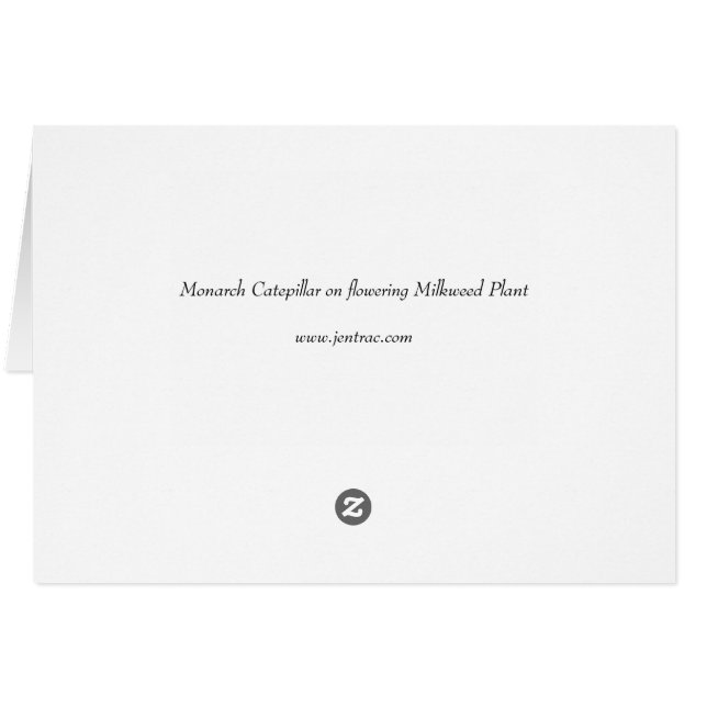 Catepillaar monarca en planta de algas húmedas (Reverso Horizontal)