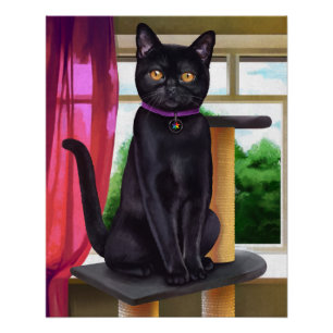 CatFans - poster del gato negro de Bombay
