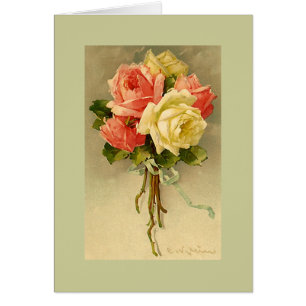 Catherine rosas rosados y blancos LTGR de Klein