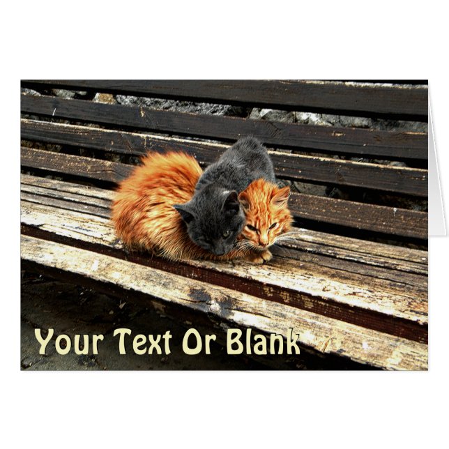 Catnap Cuties (Anverso (Horizontal))