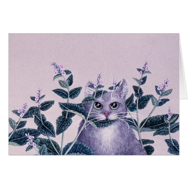 Catnip, por Darlene P. Coltrain (Anverso (Horizontal))
