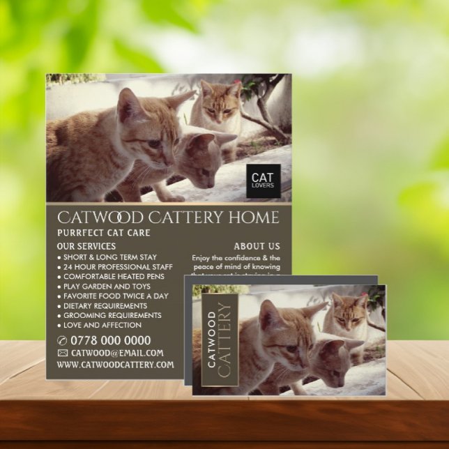 Cattery, Mascota Boarding Service, Publicidad (Subido por el creador)
