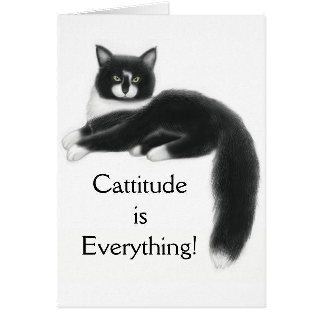 Cattitude es todo tarjeta (Frente)