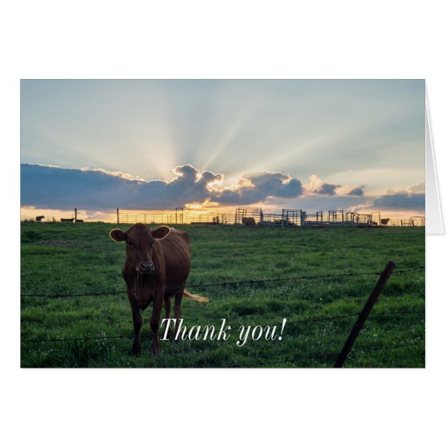 Cattle Farm Sunset (Anverso (Horizontal))