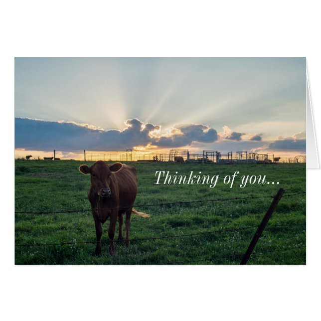 Cattle Farm Sunset Pensamiento De Tu Tarjeta (Anverso (Horizontal))