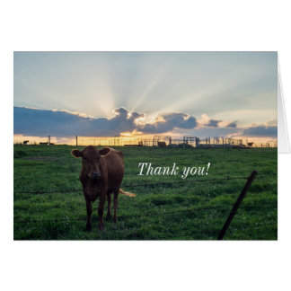 Cattle Farm Sunset Tarjeta de agradecimiento