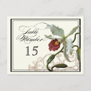Cattleya Orchid taupe - Tabla Números de Tarjeta d
