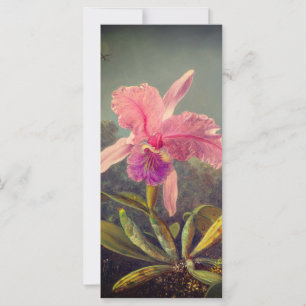 Cattleya Orchid y tres Hummingbirds Heade Card