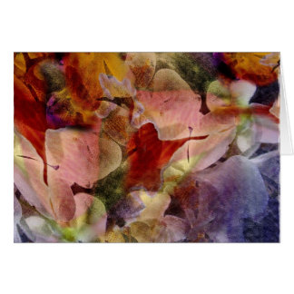 Cattleya y orquídeas del phalaenopsis - tarjeta