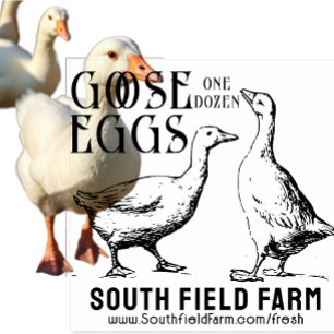 Caucho HUEVOS DE PATO O GOOSE Granja Sello de mercado Pat